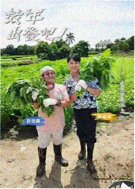 师傅开饭 综艺